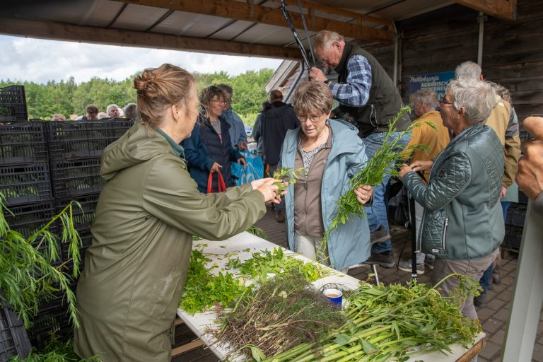Broedplaatsen voor het goede/groene leven, ontmoeting en sociale verbinding