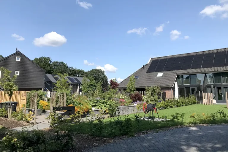 Wat zagen wij?